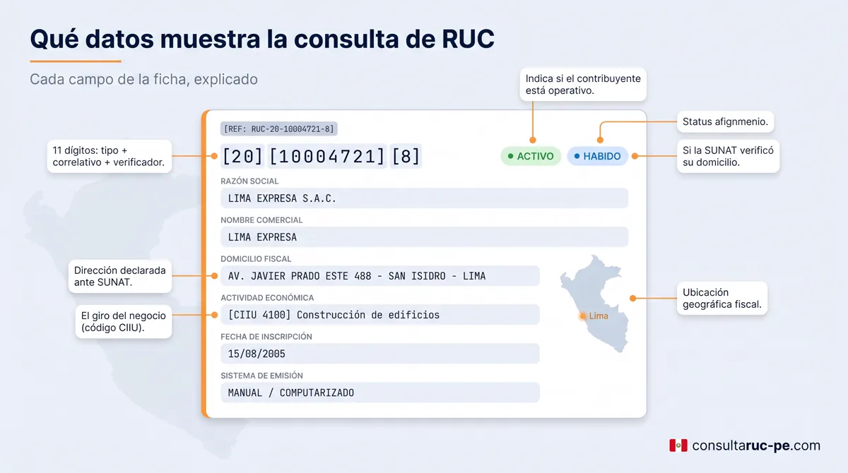 Anatomía del resultado de una consulta RUC: una ficha con razón social, estado activo, condición habido, domicilio fiscal, actividad económica y fecha de inscripción, con notas que explican cada campo.