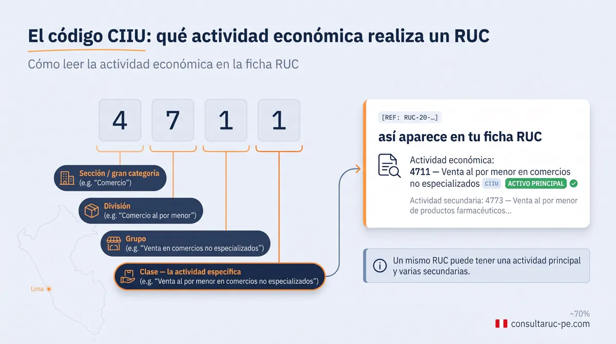 Infografía que explica el código CIIU de un RUC: cómo sus dígitos van de una gran categoría a la actividad específica y cómo aparece la actividad económica principal y secundaria dentro de la ficha RUC.