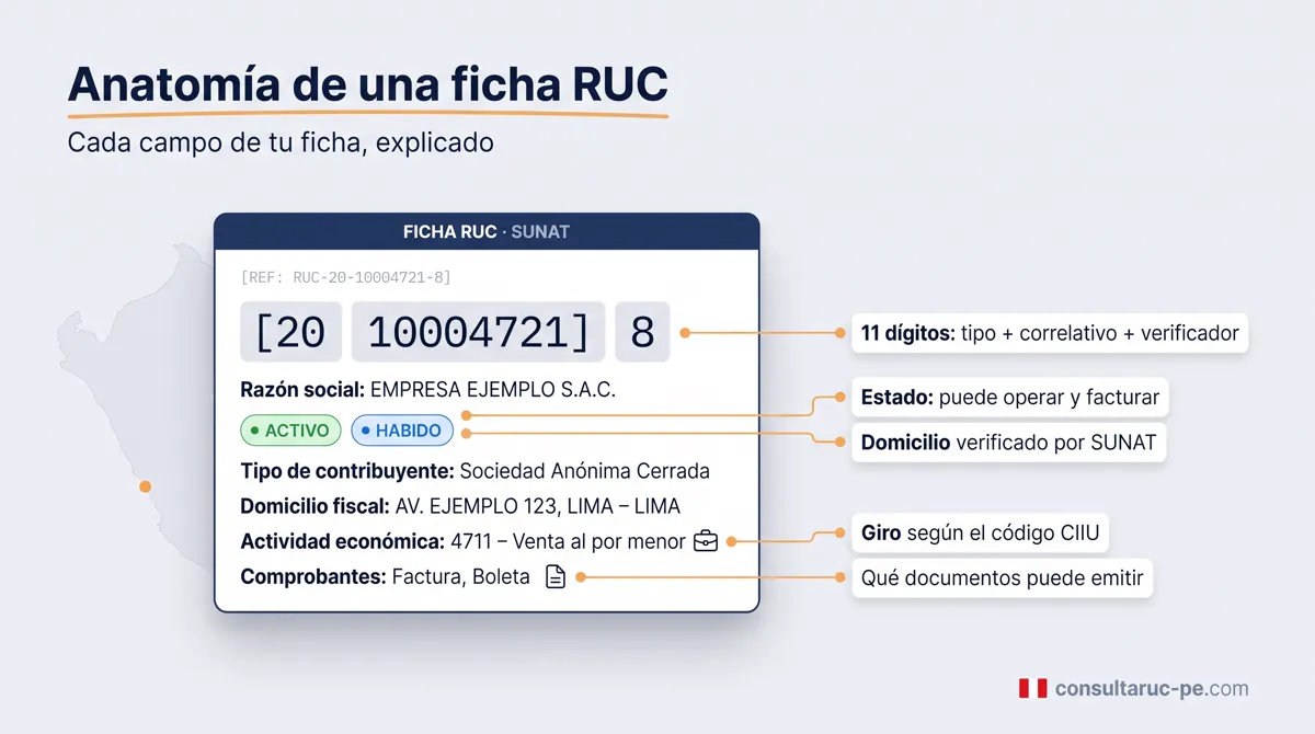 Ilustración de anatomía de una ficha RUC que muestra un documento con el RUC segmentado, razón social, estado activo, condición habido, domicilio fiscal, actividad económica y comprobantes, con líneas que etiquetan y explican cada campo.